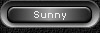 Sunny
